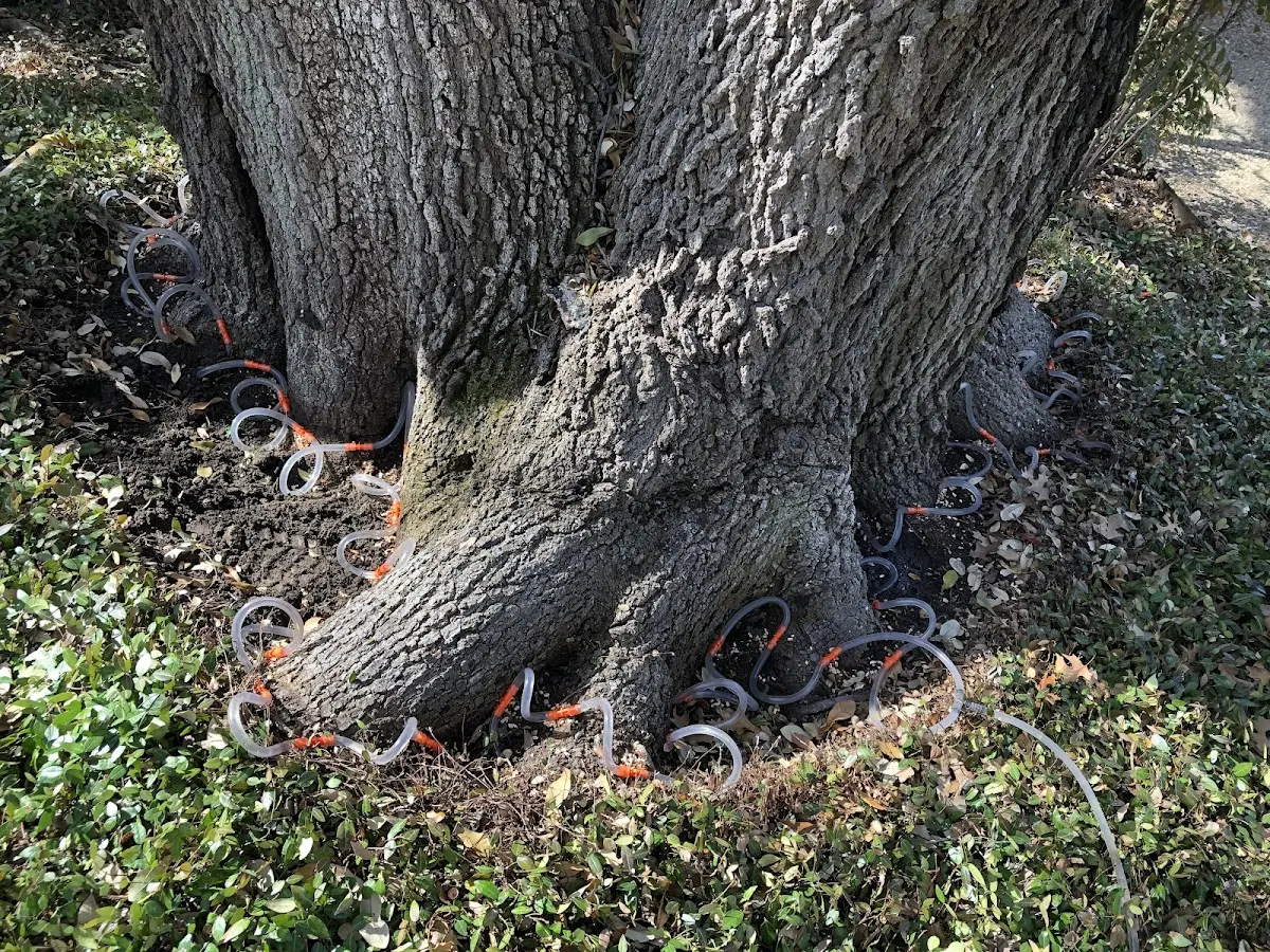 Detailed Shrub and Hedge Trimming job site in Ladoga