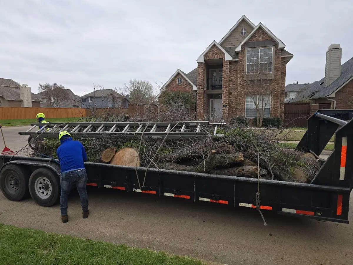 Expert Tree Pest Control with proper safety equipment in Ladoga